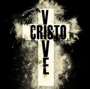 Meet your Posher, Paulina